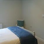本韦斯金中心酒店 旅馆 Ballaghnatrillick