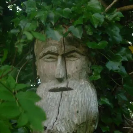 The Benwiskin Centre Hostel Ballaghnatrillick