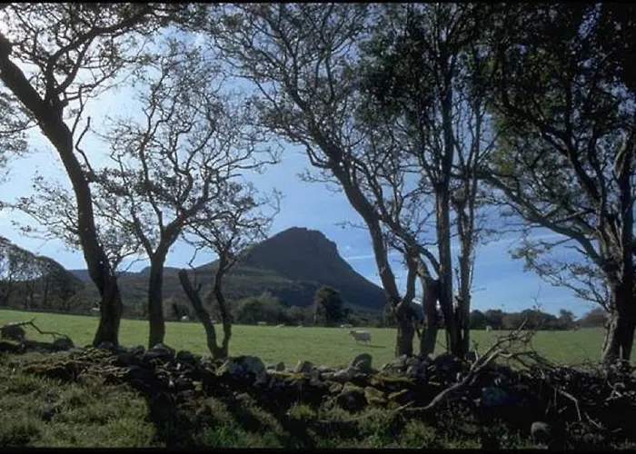 The Benwiskin Centre ホステル Ballaghnatrillick