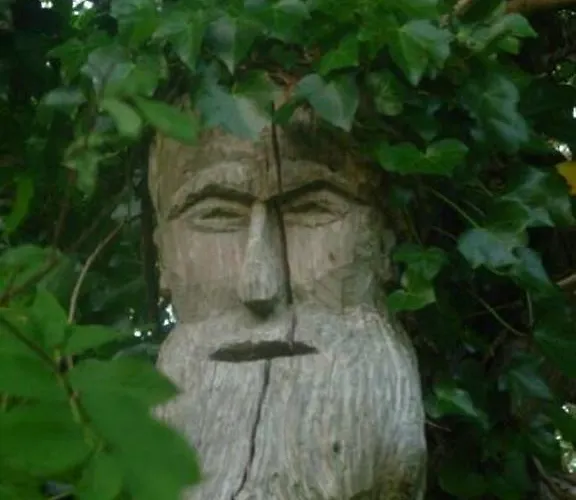 The Benwiskin Centre ホステル Ballaghnatrillick